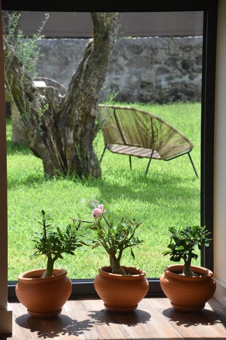 Alminhas Da Mindua - Unique Experiences By Luxistay Vitorino dos Piães Екстериор снимка